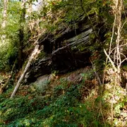 Sortie printanière au Moulin des Fougères