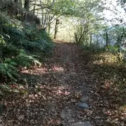 Sortie randonnée pédestre - Autour de Brommes