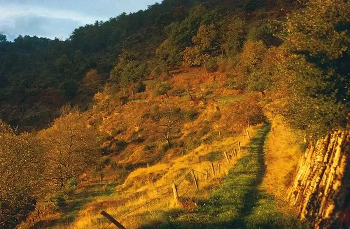 Sortie randonnée pédestre douce - Izaguette - Le Lucadou