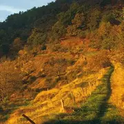 Sortie randonnée pédestre douce - Izaguette - Le Lucadou