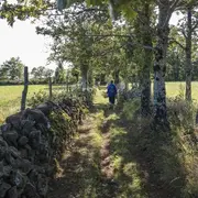 Sortie randonnée pédestre douce : Saint-Clément