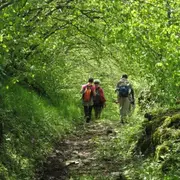 Sortie randonnée pédestre Journée en Aubrac