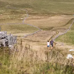 Sortie randonnée pédestre - Plomb du Cantal