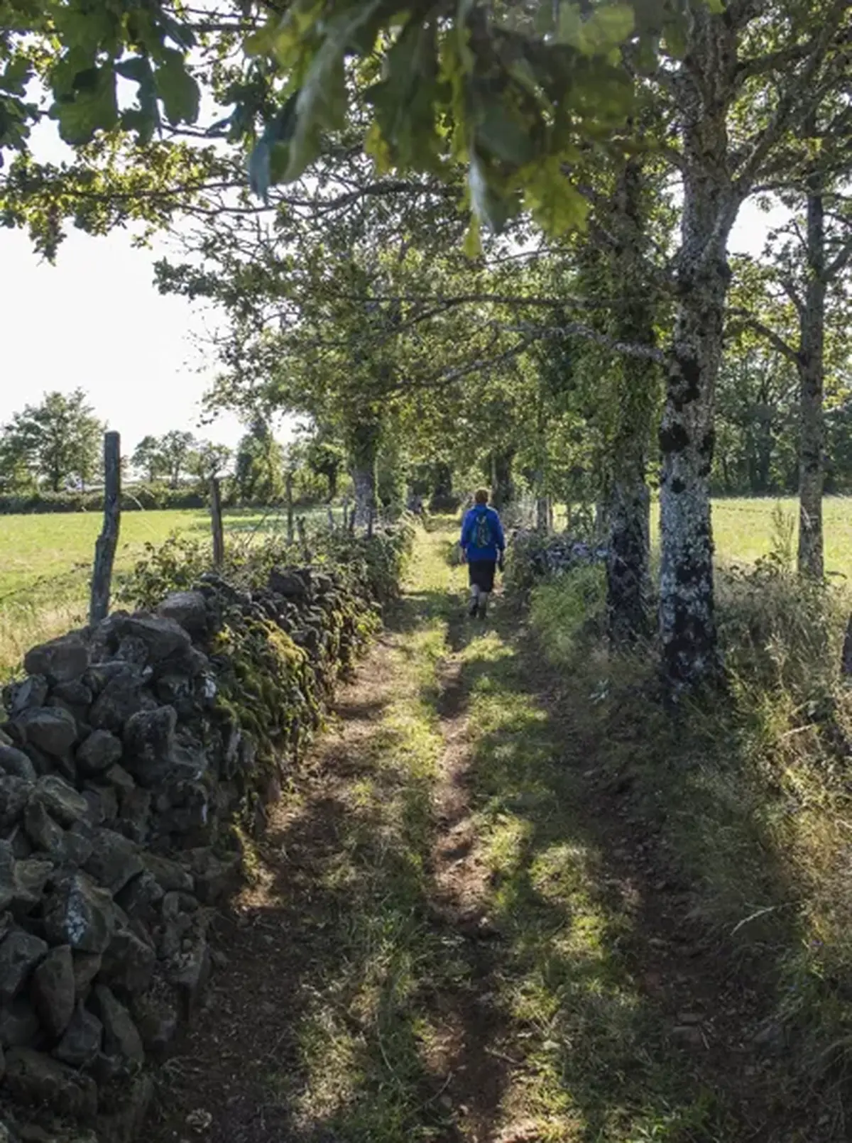 Sortie randonnée pédestre : Saint-Clément