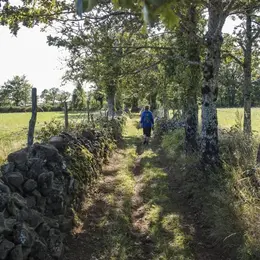 Sortie randonnée pédestre : Saint-Clément