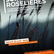Sortie Roselières