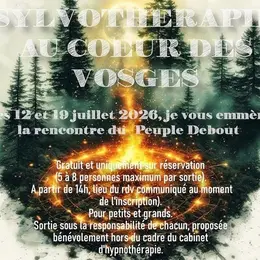 Sortie sylvothérapie au cœur des Vosges