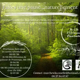 Sortie sylvothérapie : les bienfaits des arbres sur notre santé