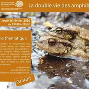 Sortie thématique : La double vie des amphibiens