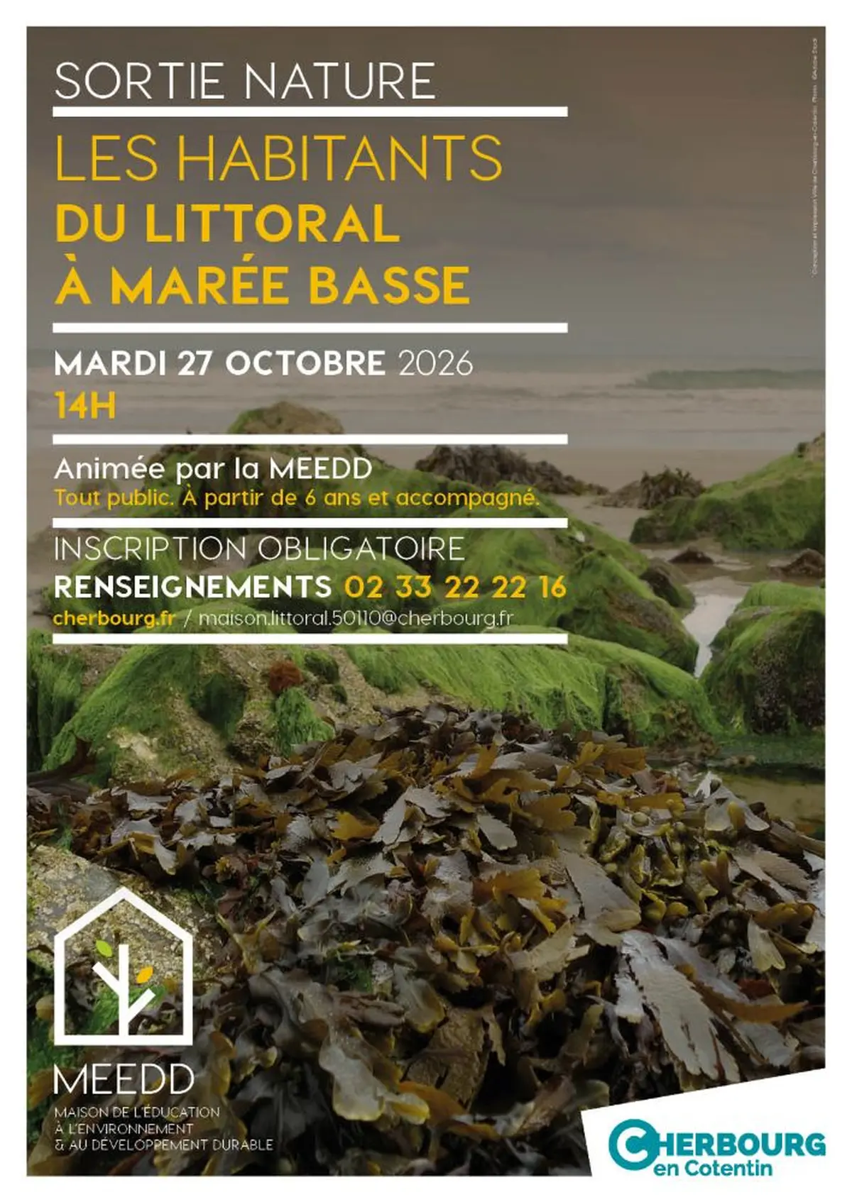 Sortie tout public : les habitants du littoral à marée basse