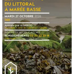 Sortie tout public : les habitants du littoral à marée basse