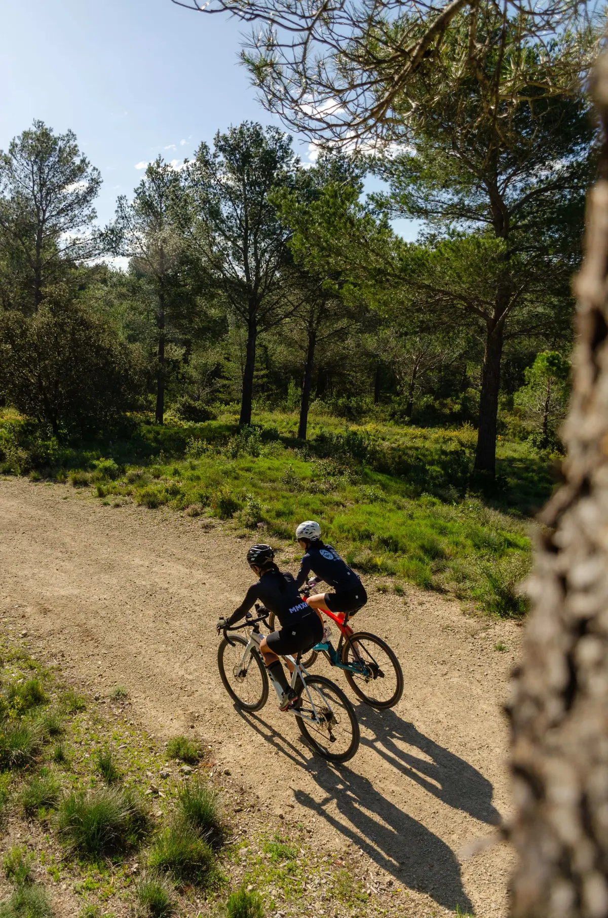 Sortie vélo : Rallye vélo du Parc des Alpilles