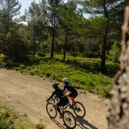 Sortie vélo : Rallye vélo du Parc des Alpilles