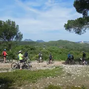 Sortie vélo : Rallye vélo du Parc des Alpilles