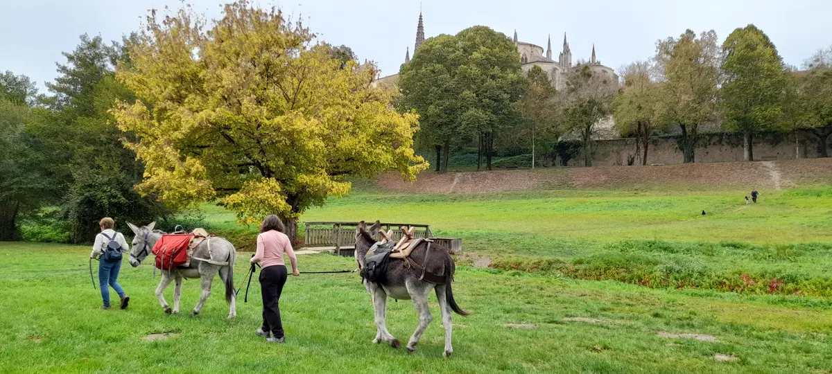 Sortie Yogânes à Bazas
