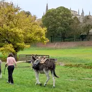 Sortie Yogânes à Bazas
