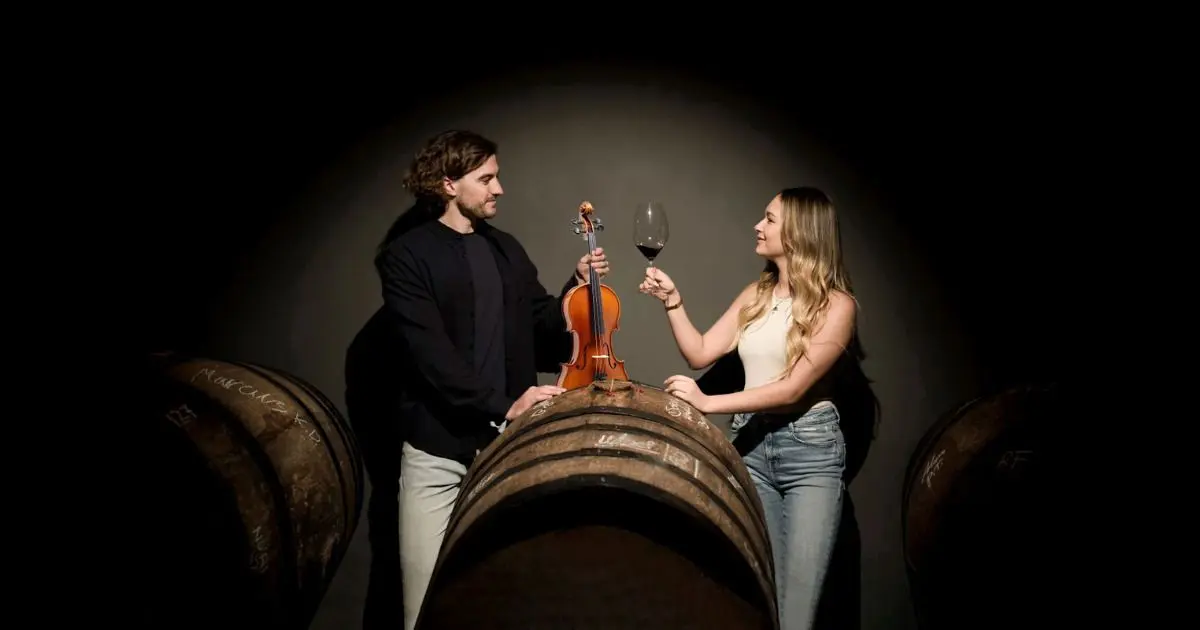 Concert dégustation diVin au Conservatoire