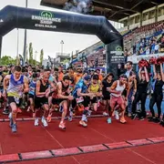 Sorties à Mulhouse ce week-end : 5 idées du 27 au 29 mars 2026