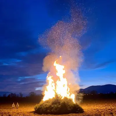 Sorties à Mulhouse ce week-end (9 au 11 janvier) : le top 5 des événements à ne pas manquer