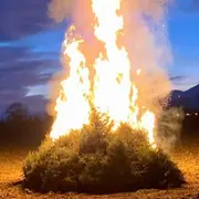 Sorties à Mulhouse ce week-end (9 au 11 janvier) : le top 5 des événements à ne pas manquer