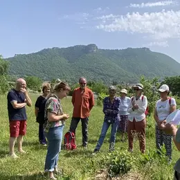 Sorties botanique autour des Plantes Médicinales