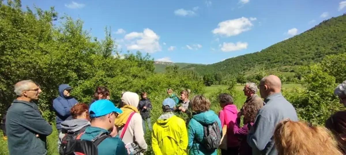 Sorties botaniques - Victoria Linhares - le Sentier des Herbes