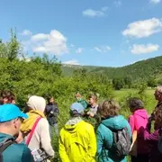 Sorties botaniques - Victoria Linhares - le Sentier des Herbes