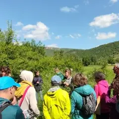Sorties botaniques - Victoria Linhares - le Sentier des Herbes