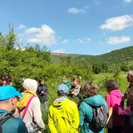 Sorties botaniques - Victoria Linhares - le Sentier des Herbes