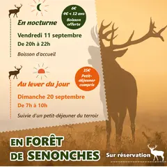 Sorties - Brame du Cerf