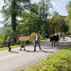 Sorties dans le Haut-Rhin ce week-end (2 au 4 octobre 2026) : 6 bons plans à découvrir d'urgence