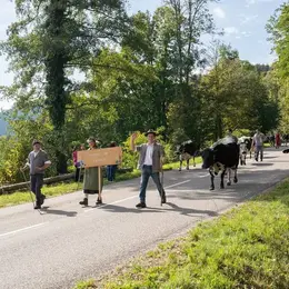 Sorties dans le Haut-Rhin ce week-end (2 au 4 octobre 2026) : 6 bons plans à découvrir d'urgence