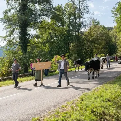 Haut-Rhin : nos 6 idées sorties du week-end