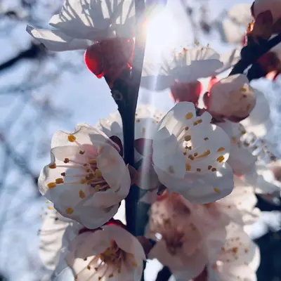 Ce week-end à Mulhouse : 7 sorties à ne pas rater du 10 au 12 avril