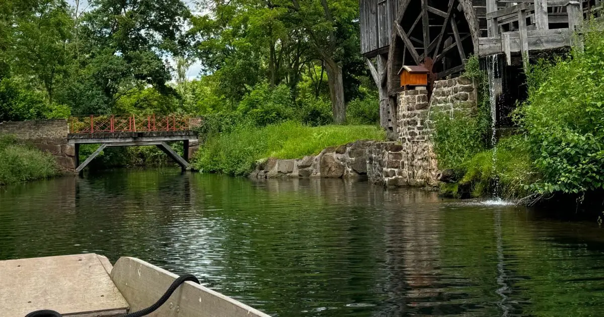 Sorties Mulhouse 9 au 11 mai 2025