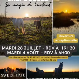Sorties Nature Immersives Crépusculaires