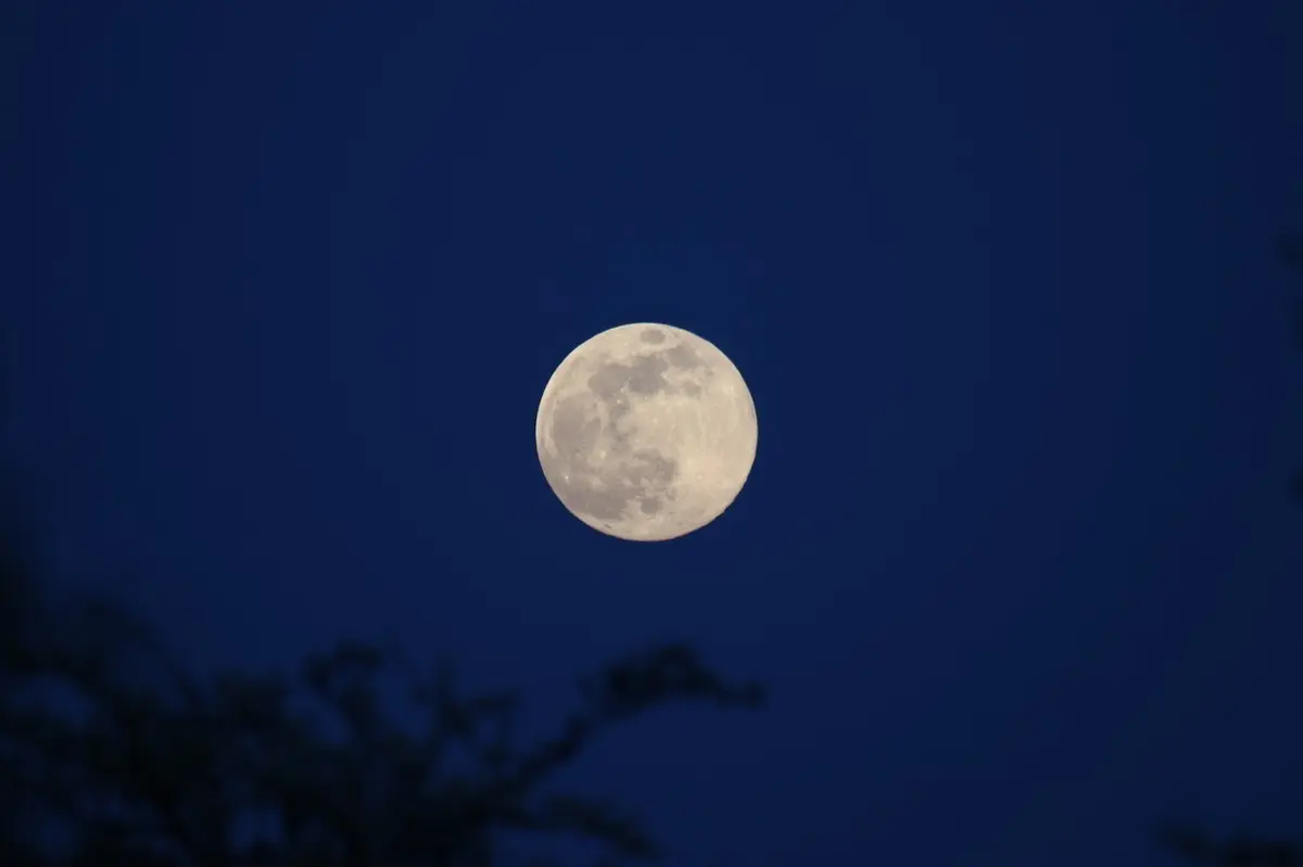 Sorties Nature Initiation à L'Astronomie