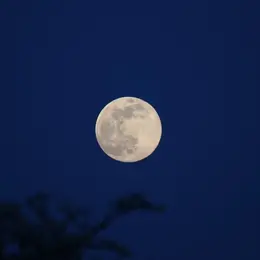 Sorties Nature Initiation à L'Astronomie