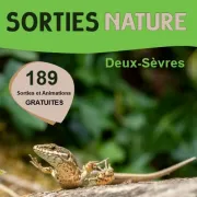 Sorties Nature : Les chauves-souris de la grotte de Loubeau