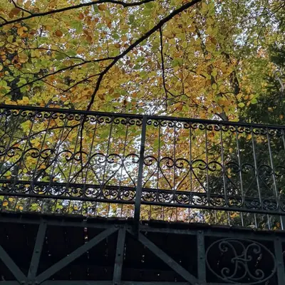 Mulhouse : nos 6 idées sorties du week-end