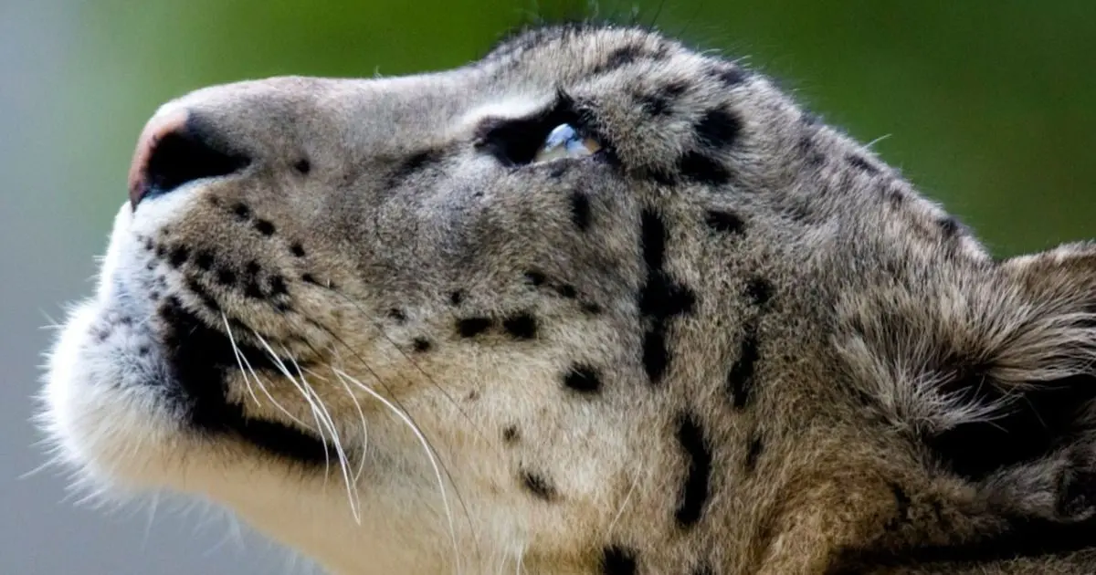 Découvertes assurées lors de la Journée découverte du Zoo de Mulhouse