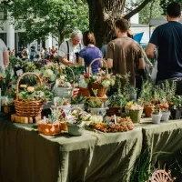 Sorties week-end Mulhouse avril 2025 : le top 3 pour profiter du 11 au 13 avril DR