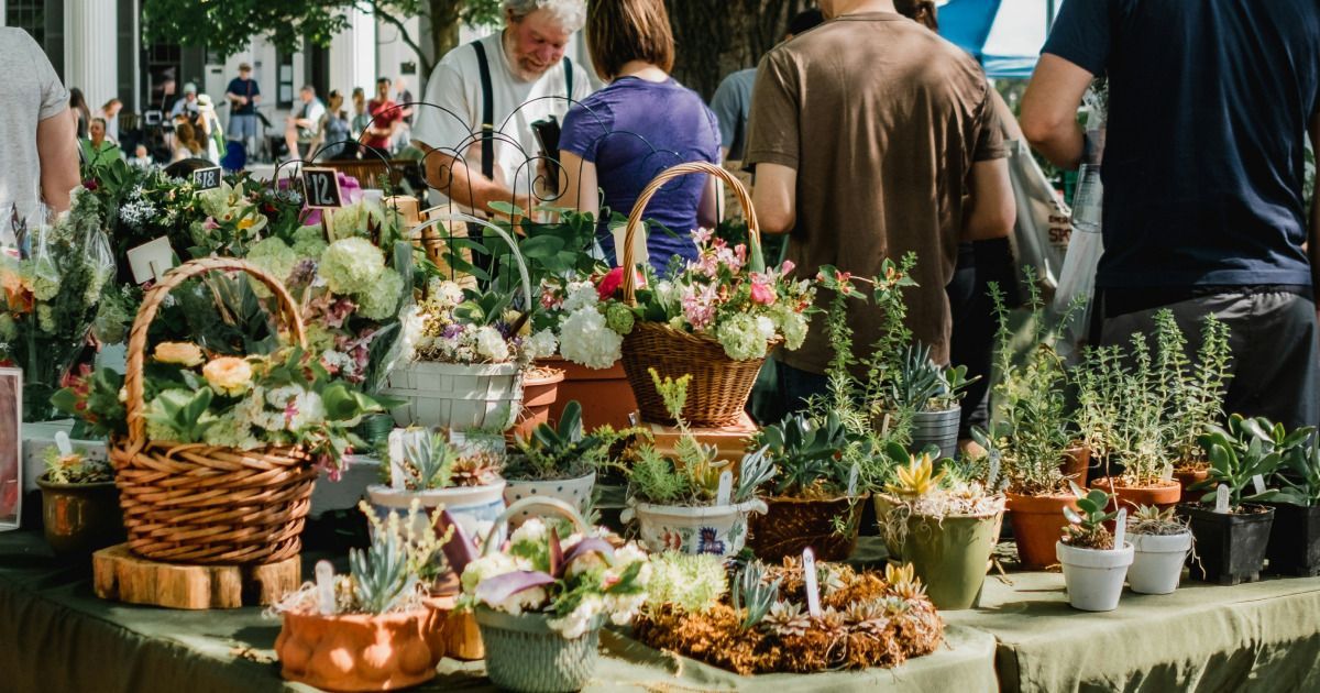 Que faire à Mulhouse ce week-end ? Top 3 des sorties du 11 au 13 avril 2025 Que faire à Mulhouse ce week-end ? Top 3 des sorties du 11 au 13 avril 2025