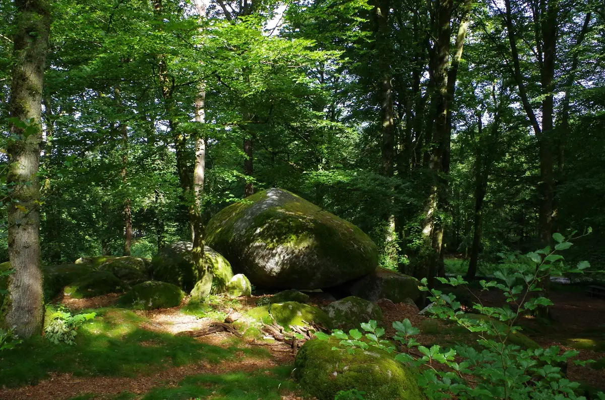 Sortilèges de la pleine lune : Les Pierres à Légendes de Chabrières