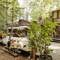 Sortir du quotidien, se lancer dans l'aventure : la sortie familiale idéale en forêt DR
