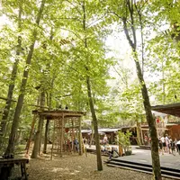 Sortir du quotidien, se lancer dans l'aventure : la sortie familiale idéale en forêt DR