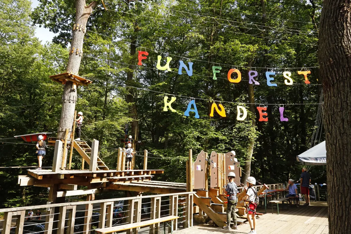 Sortir du quotidien, se lancer dans l'aventure : la sortie familiale idéale en forêt