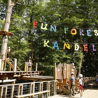 Sortir du quotidien, se lancer dans l'aventure : la sortie familiale idéale en forêt DR