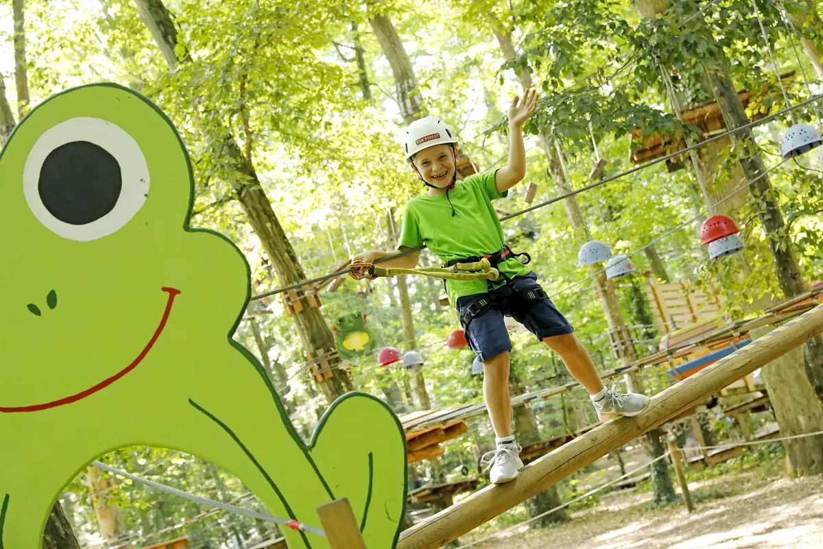 Sortir du quotidien, se lancer dans l'aventure : la sortie familiale idéale en forêt