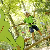 Sortir du quotidien, se lancer dans l'aventure : la sortie familiale idéale en forêt DR